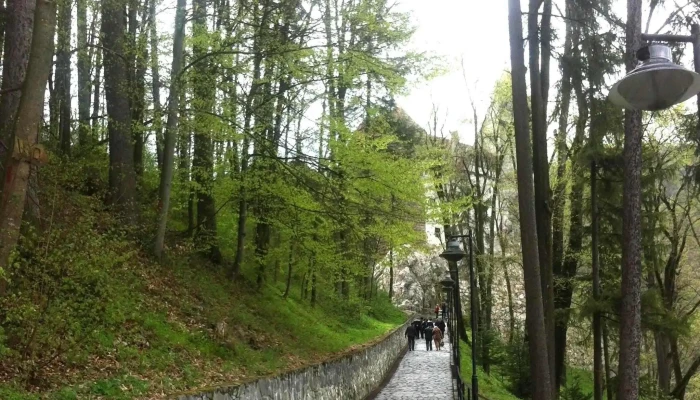 Castelul Bran - Bran