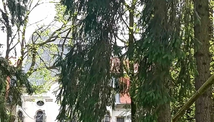Castelul Teleki Din Gornesti Adresă - Gornești