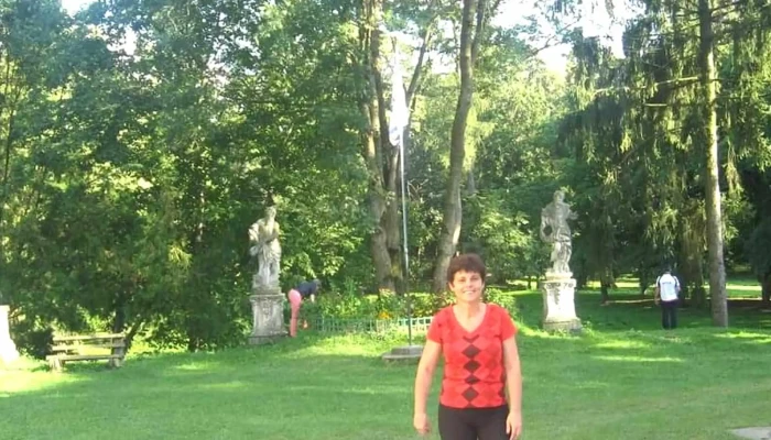Castelul Teleki Din Gornesti Zonă - Gornești