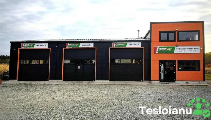Castrol Service Crisalex Concept Auto S.r.l. - Mălini