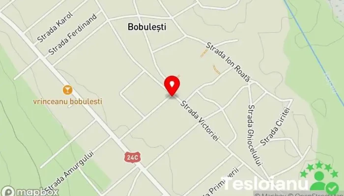 hartă a Castrol Service Luca Autoservice Bobulești Service auto în Bobulești
