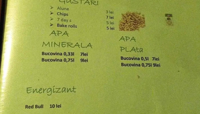 Castrul Roman De La Bumbesti Jiu Meniu - Dn66