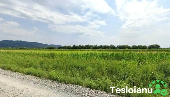 Castrul roman de la Constantin Daicoviciu - Căvăran