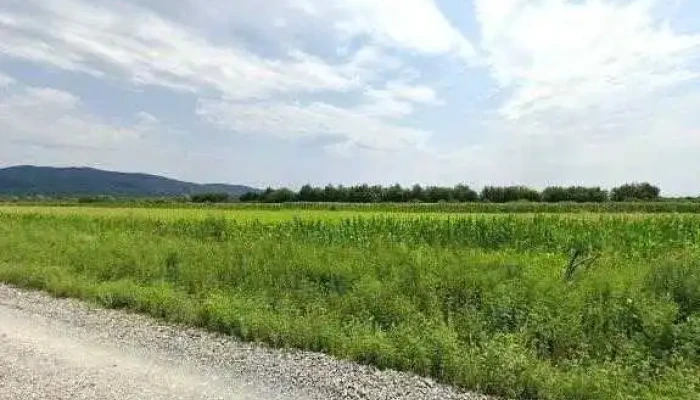 Castrul Roman De La Constantin Daicoviciu -  Zonă - Căvăran