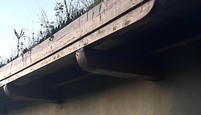 Casuta De Lut Unde - Pădureni