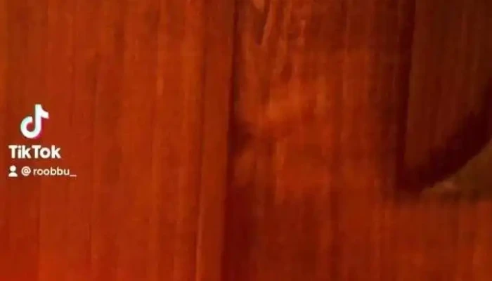 Casuta Din Livezi   Andreea Si Mihaela De La Proprietar - Cacica