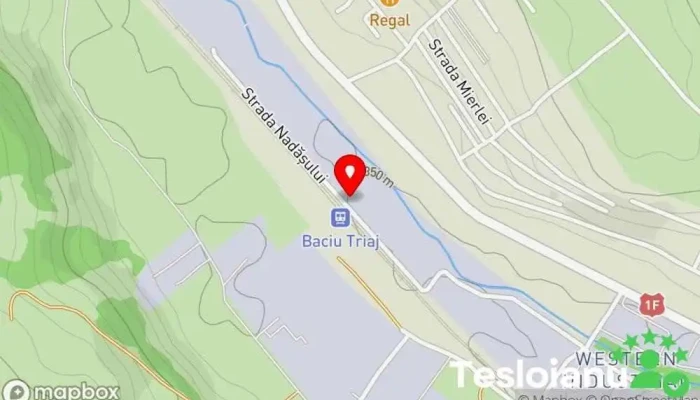 hartă a CăsuțeCăței Magazin cu articole pentru animale de companie în Baciu