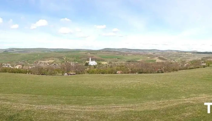 Catina Program - Cătina