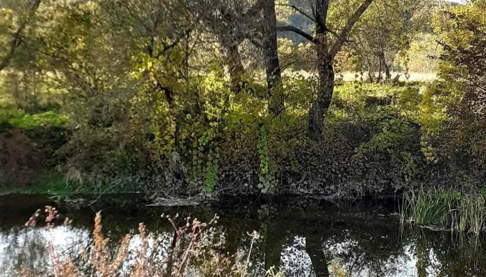 Catunele Fotografii - Cătunele