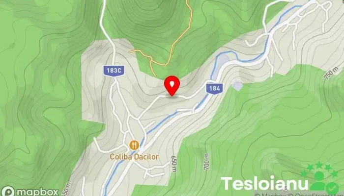 hartă a Cavnic  în Cavnic