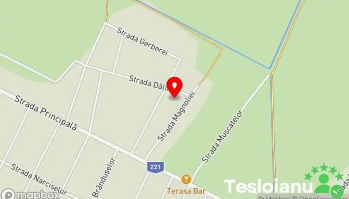 hartă a Cazasu  în Cazasu