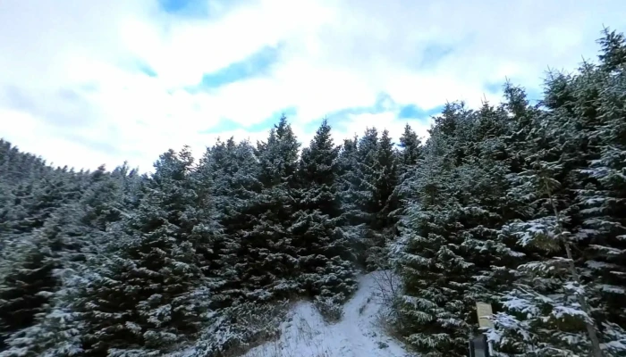 Ceahlau Street View Si 360deg - Ceahlău