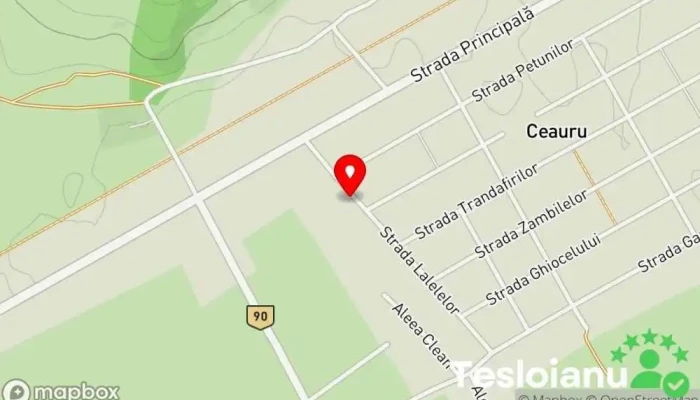 hartă a Ceauru  în Ceauru
