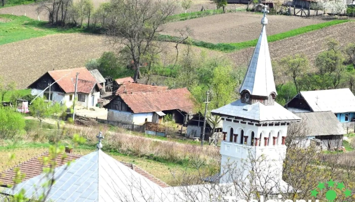 Cehal -  Zonă - Cehal