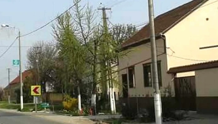 Cenad -  Zonă - Cenad