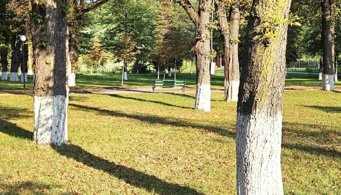Centrul Balnear Parc Magura Targu Ocna Fotografii - Târgu Ocna