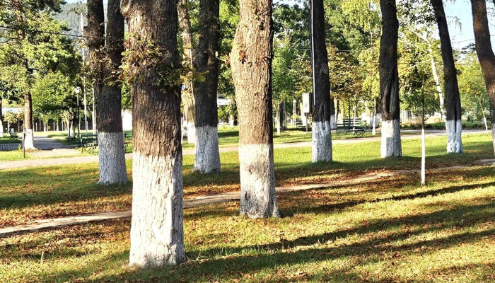 Centrul Balnear Parc Magura Targu Ocna Zonă - Târgu Ocna