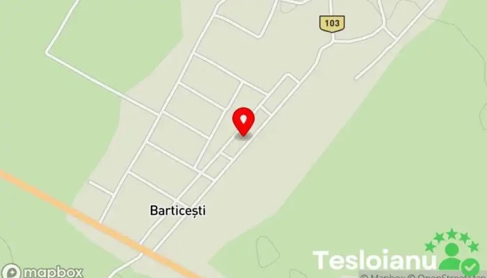 hartă a Centrul Medical Barticesti Clinică medicală, Centru de tratament, Spital privat în Barticeşti