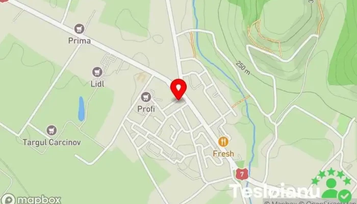 hartă a Centrul Naţional de Informare şi Promovare Turistică Topoloveni Centru de informare turistică în Topoloveni