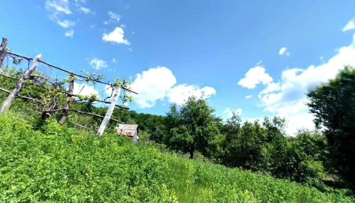 Cernisoara Street View Si 360deg - Cernișoara