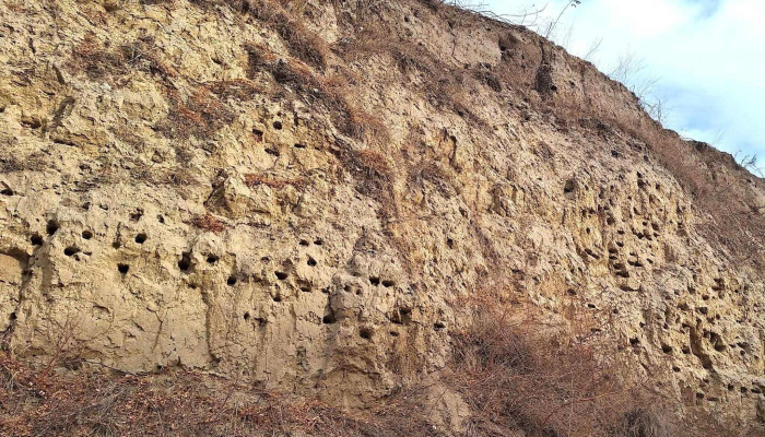 Cetatea Geto -  Dacica De La Zimnicea Zonă - Zimnicea