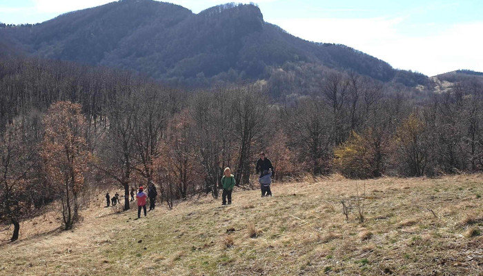Cetatea Tautului Deschis Acum - Romania