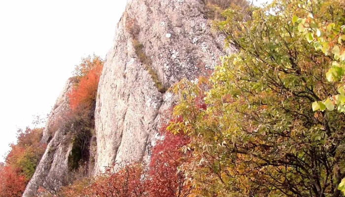 Cetatea Tautului Telefon - Romania