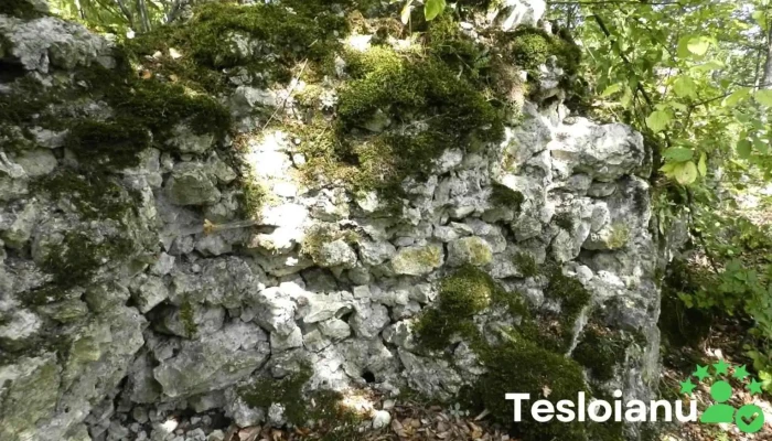 Cetatuia Comana Reduceri - Romania