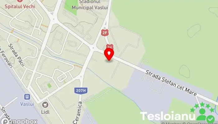 Check Ama Car - Vaslui 730187