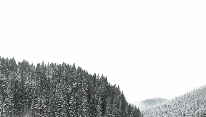 Cheile Bicazului Si Lacul Rosu Cum Să Ajungi Acolo - Romania