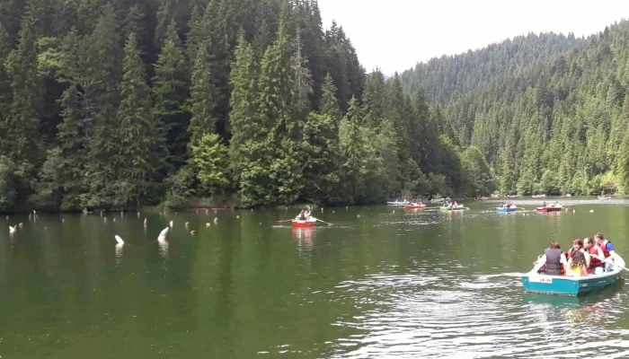 Cheile Bicazului Si Lacul Rosu Recenzii - Romania