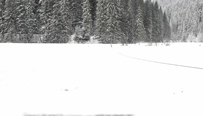 Cheile Bicazului Si Lacul Rosu Site Web - Romania