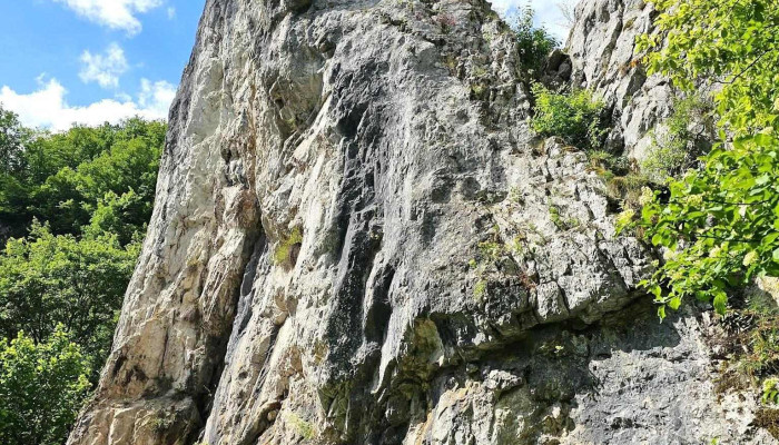 Cheile Misidului Munte - Șuncuiuș