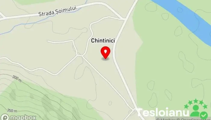 hartă a Chintinici  în Chintinici