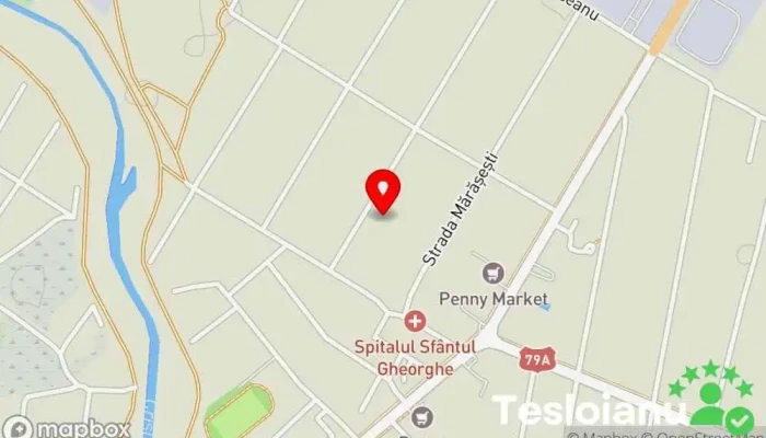 hartă a Chișineu-Criș  în Chișineu-Criș