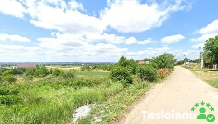 Ciarlidezmembrarii - Șimnicu De Sus