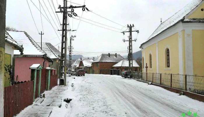 Cibu -  Promoție - Cibu