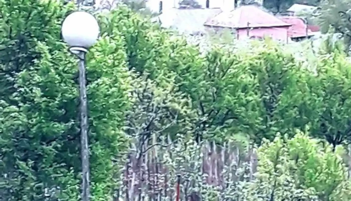 Cicarlau Instagram - Cicârlău