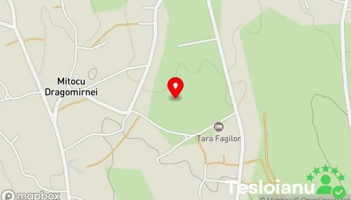 hartă a Cimitir Mitocul Dragomirnei Cimitir în Mitocu Dragomirnei