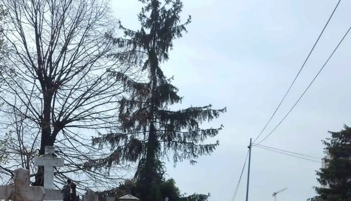 Cimitirul Adormirea Maicii Domnului -  Zonă - București