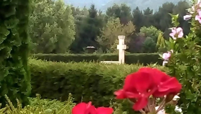 Cimitirul Saracilor Număr - Sighetu Marmației