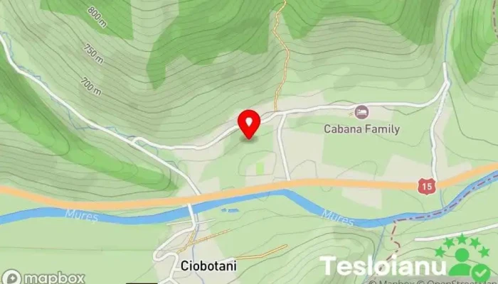 hartă a Ciobotani  în Ciobotani