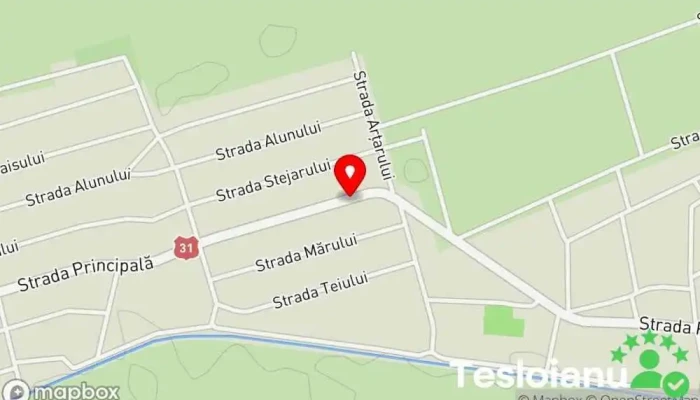 hartă a Ciocănești  în Ciocănești