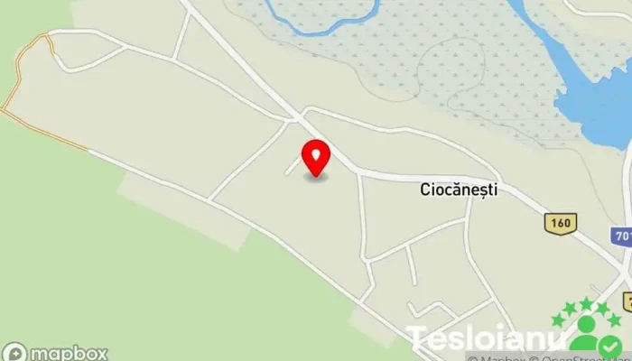 hartă a Ciocănești  în Ciocănești