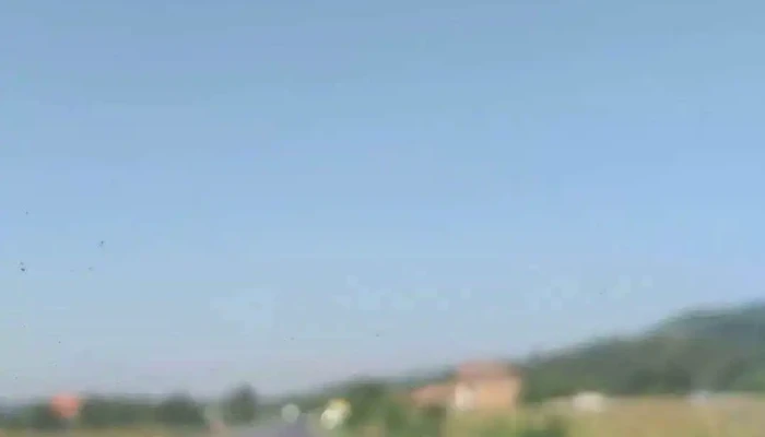 Ciochiuta Videoclipuri - Ciochiuţa