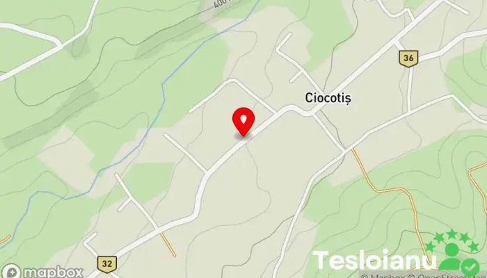 hartă a Ciocotiș  în Ciocotiș