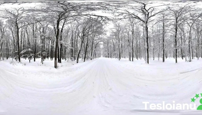Ciocănești - Ciocănești