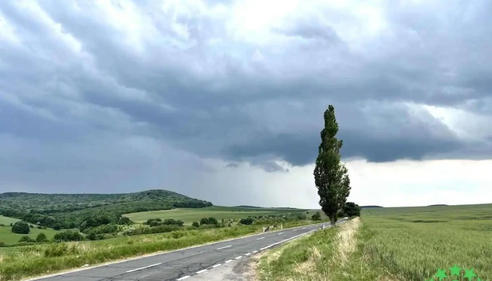 Ciucurova - Ciucurova