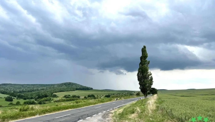 Ciucurova -  Număr - Ciucurova