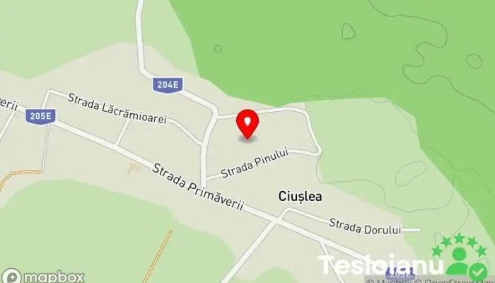 hartă a Ciuslea  în Ciuslea